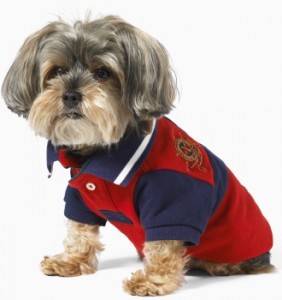 Ralph Lauren for the pup